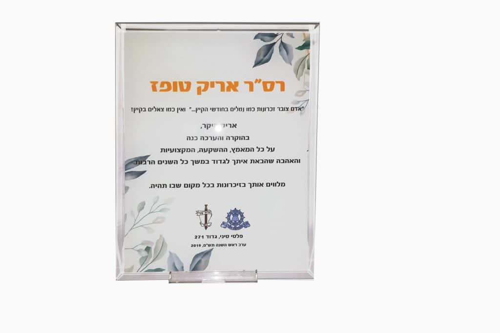 מגן הוקרה, פלסי סיני גדוד 271